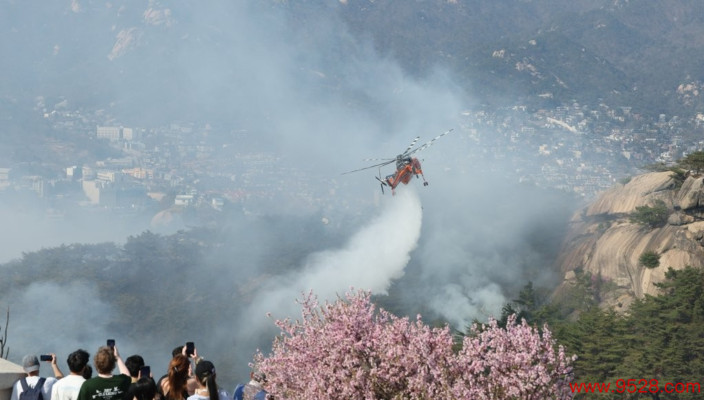 4月2日，位于首尔市钟路区的仁王山发生山火，消防直升机正开展熄灭职责。 图源：韩联社