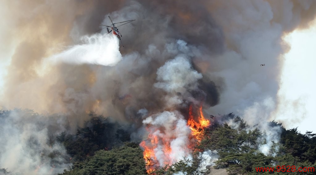 4月2日，位于首尔市钟路区的仁王山发生山火，消防直升机正开展熄灭职责。图源：韩联社