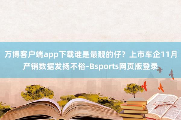 万博客户端app下载谁是最靓的仔？　　上市车企11月产销数据发扬不俗-Bsports网页版登录