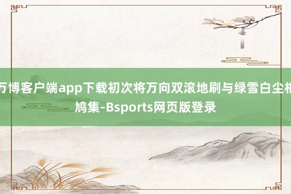 万博客户端app下载初次将万向双滚地刷与绿雪白尘相鸠集-Bsports网页版登录