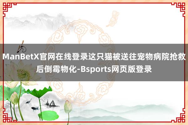 ManBetX官网在线登录这只猫被送往宠物病院抢救后倒霉物化-Bsports网页版登录