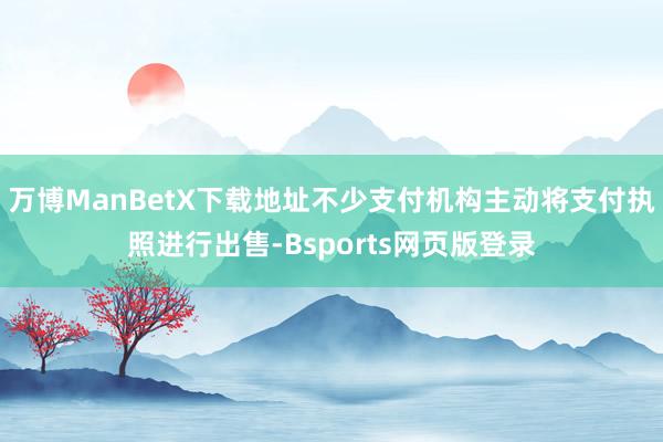 万博ManBetX下载地址不少支付机构主动将支付执照进行出售-Bsports网页版登录